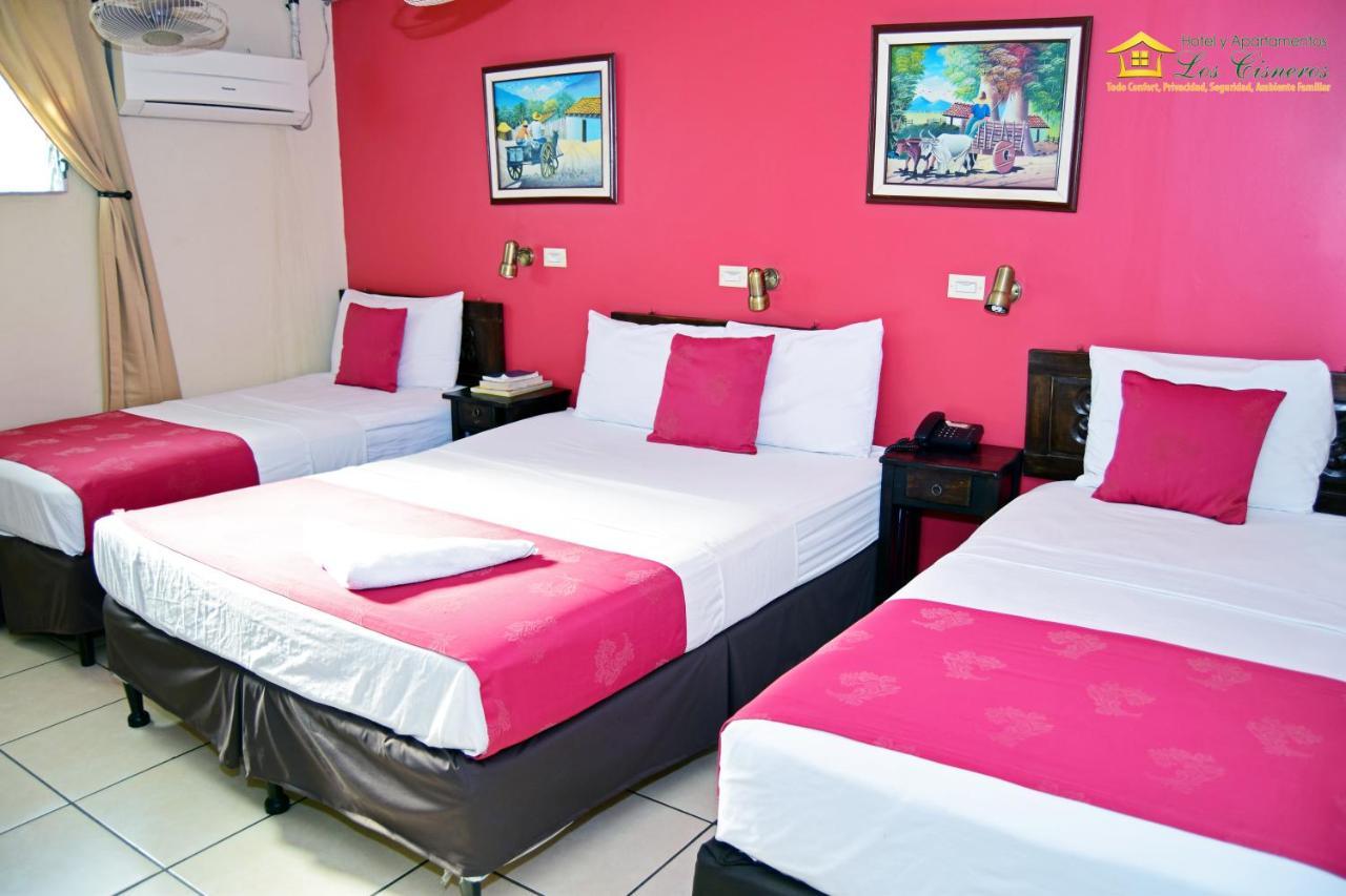 Hotel Y Apartments Los Cisneros Managua Extérieur photo